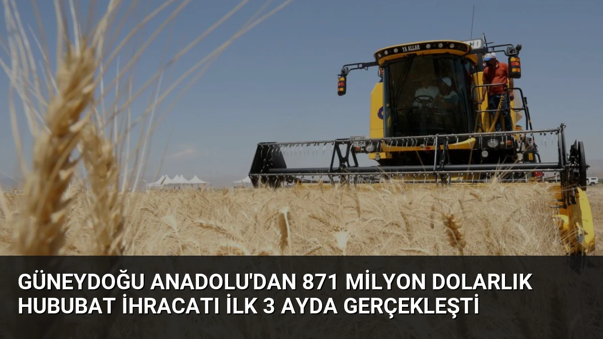 Güneydoğu Anadolu’dan 871 Milyon Dolarlık Hububat İhracatı İlk 3 Ayda Gerçekleşti