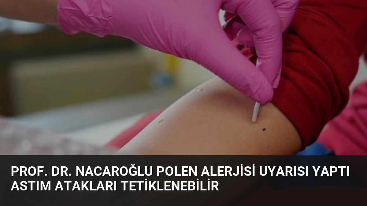 Prof. Dr. Nacaroğlu Polen Alerjisi Uyarısı Yaptı Astım Atakları Tetiklenebilir