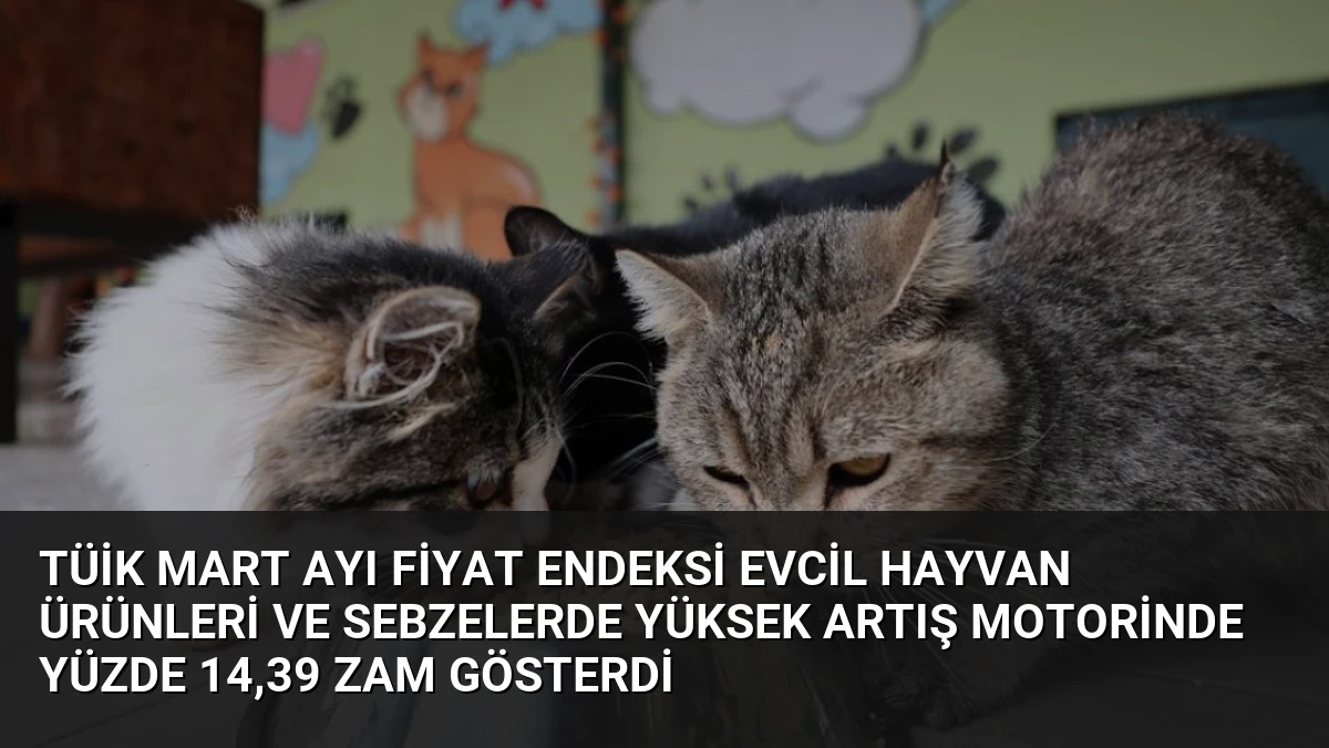 TÜİK Mart Ayı Fiyat Endeksi Evcil Hayvan Ürünleri ve Sebzelerde Yüksek Artış Motorinde Yüzde 14,39 Zam Gösterdi