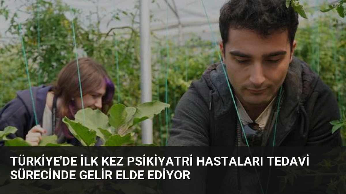 Türkiye’de İlk Kez Psikiyatri Hastaları Tedavi Sürecinde Gelir Elde Ediyor
