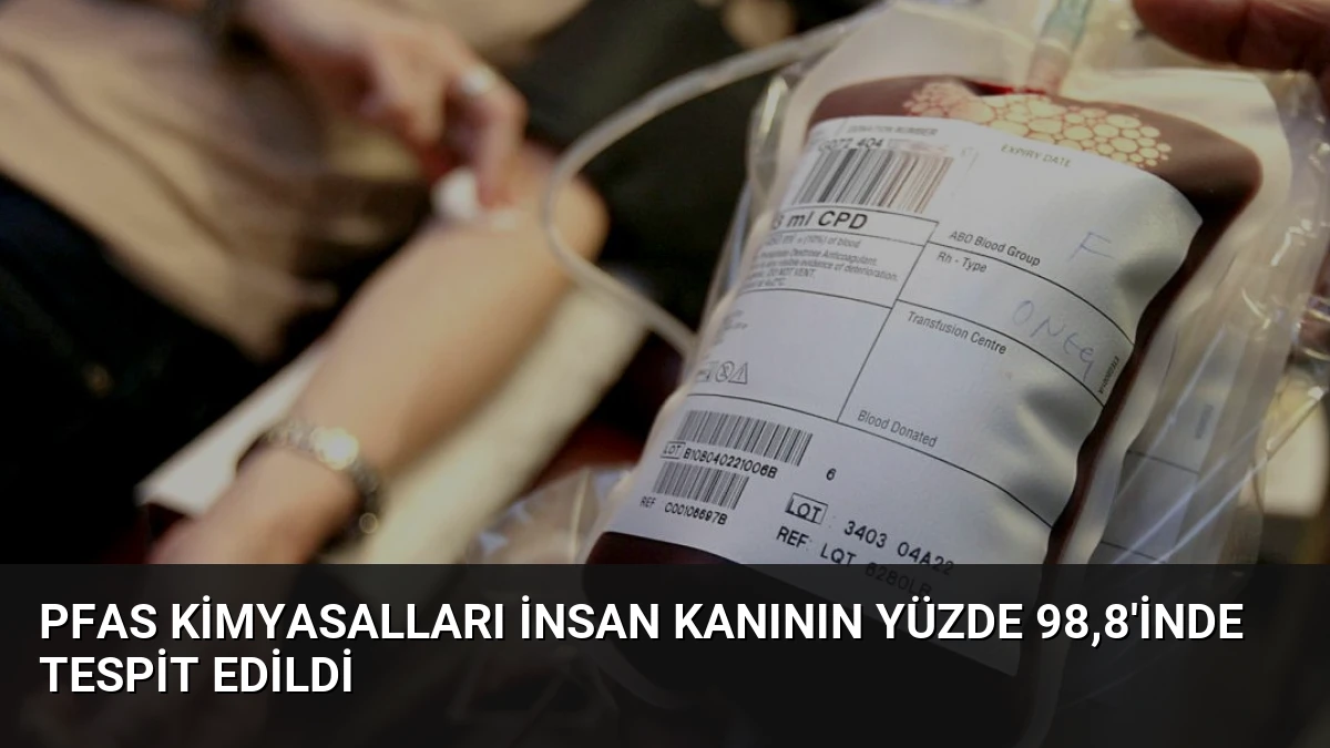 PFAS Kimyasalları İnsan Kanının Yüzde 98,8’inde Tespit Edildi
