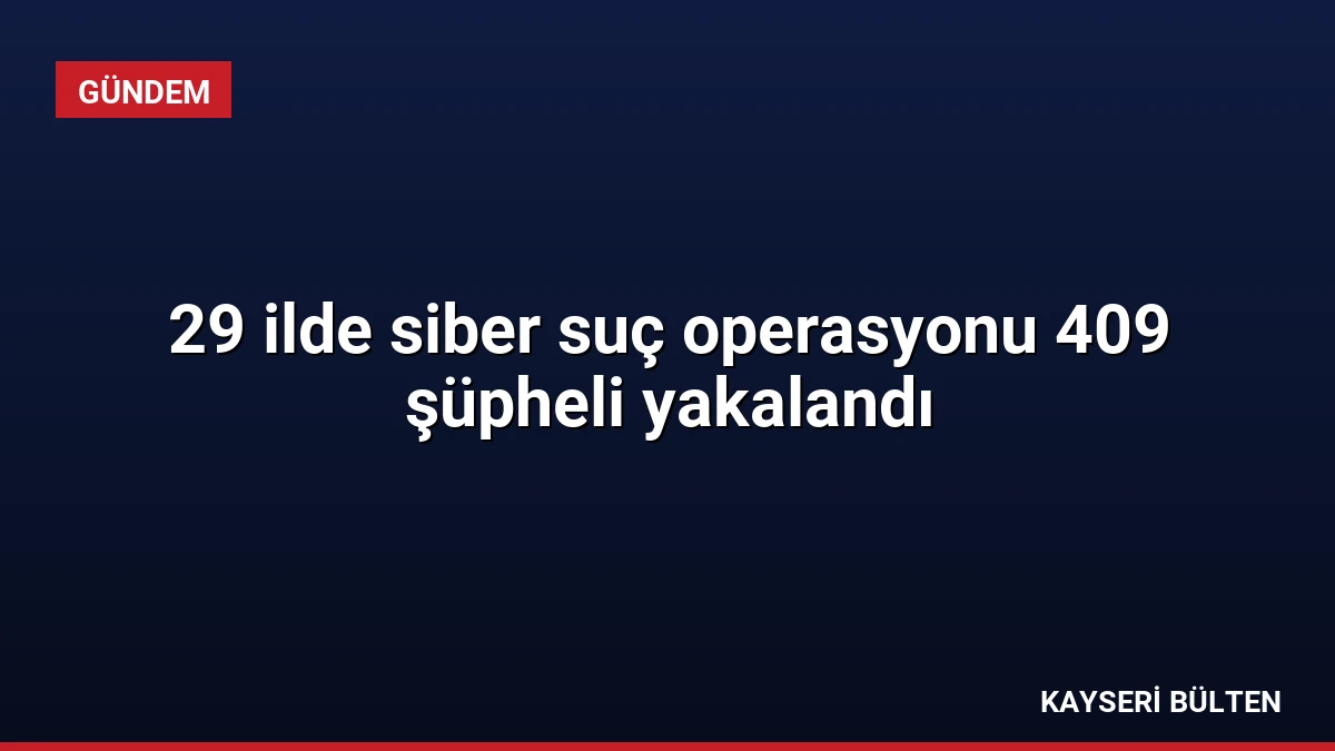 29 ilde siber suç operasyonu 409 şüpheli yakalandı