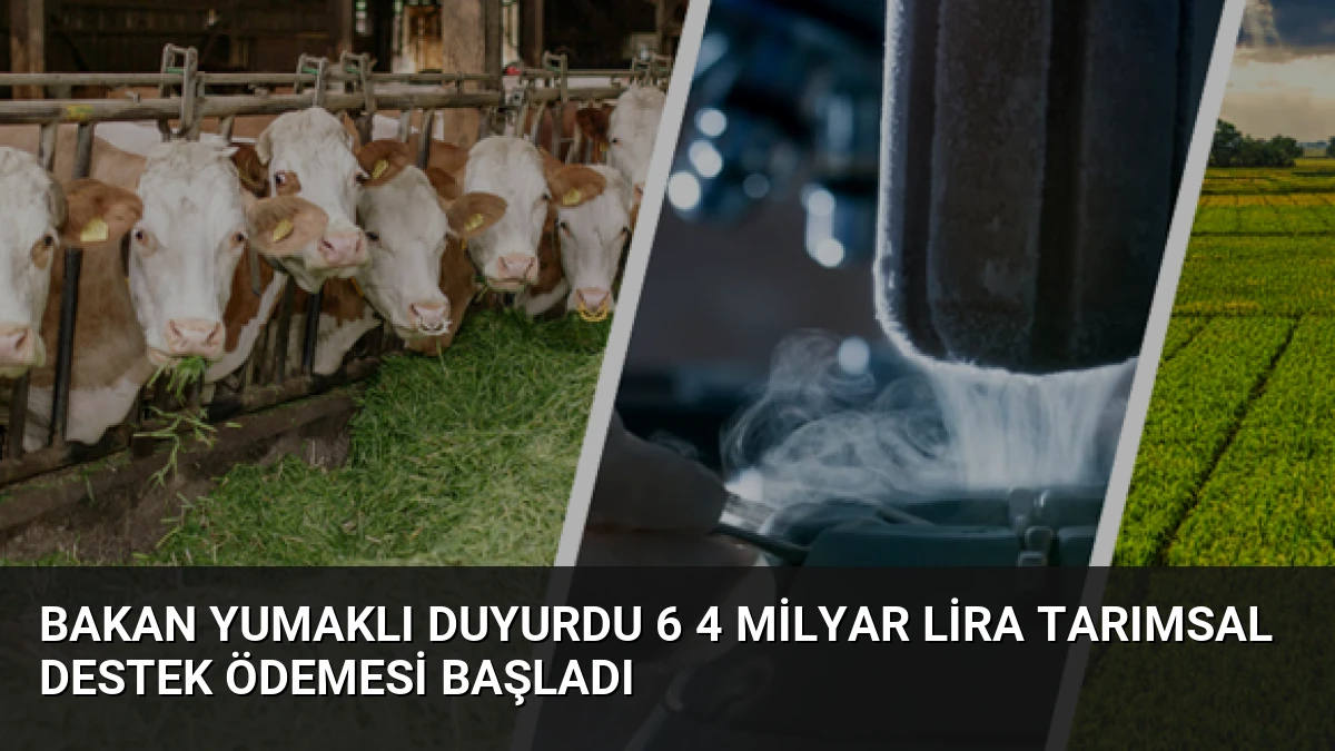 Bakan Yumaklı Duyurdu 6 4 Milyar Lira Tarımsal Destek Ödemesi Başladı