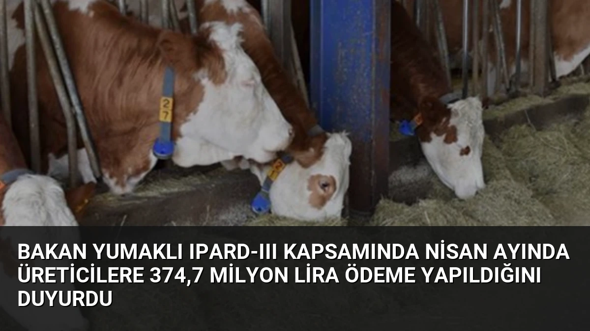 Bakan Yumaklı IPARD-III Kapsamında Nisan Ayında Üreticilere 374,7 Milyon Lira Ödeme Yapıldığını Duyurdu