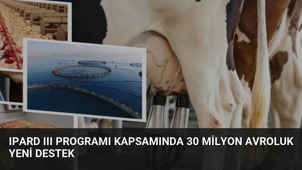 IPARD III Programı kapsamında 30 milyon avroluk yeni destek