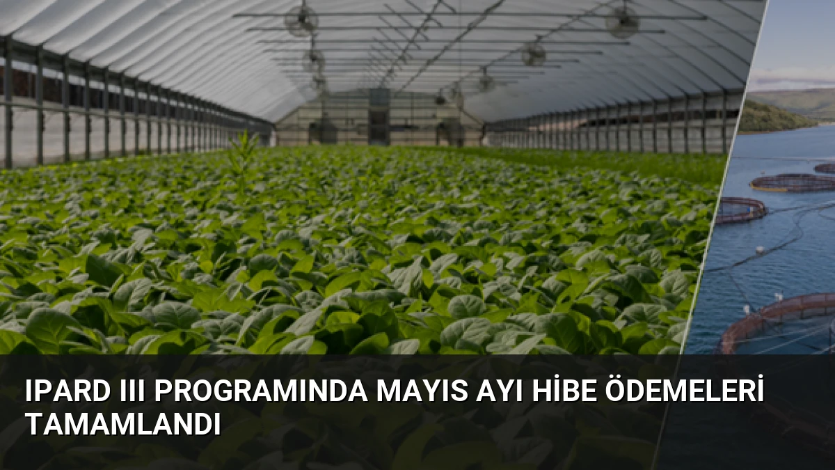 IPARD III Programında Mayıs Ayı Hibe Ödemeleri Tamamlandı