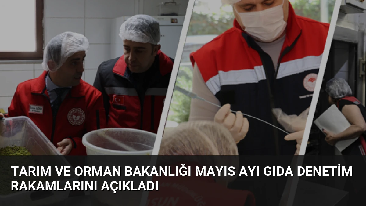Tarım ve Orman Bakanlığı Mayıs Ayı Gıda Denetim Rakamlarını Açıkladı