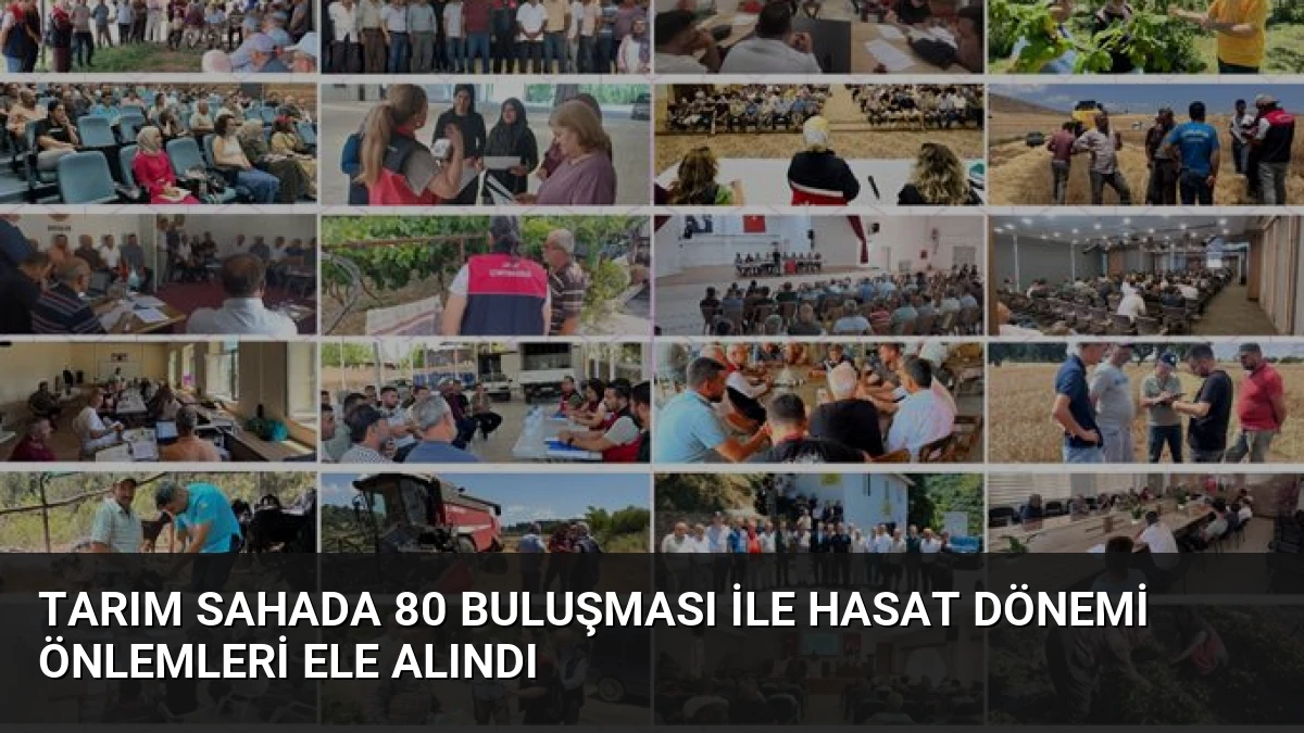 Tarım Sahada 80 Buluşması ile Hasat Dönemi Önlemleri Ele Alındı