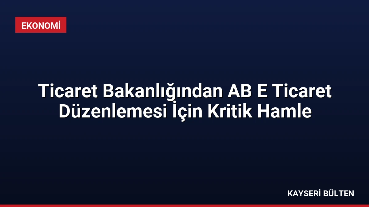 Ticaret Bakanlığından AB E Ticaret Düzenlemesi İçin Kritik Hamle