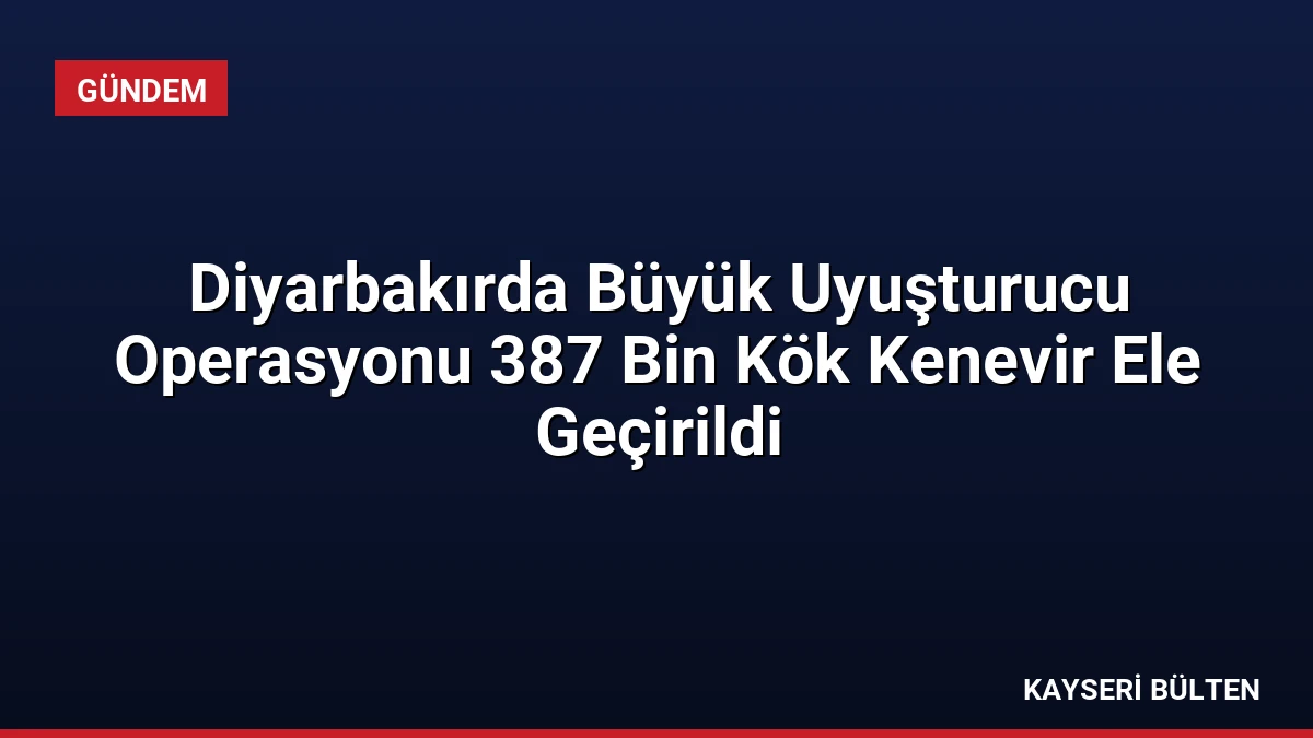 Diyarbakırda Büyük Uyuşturucu Operasyonu 387 Bin Kök Kenevir Ele Geçirildi